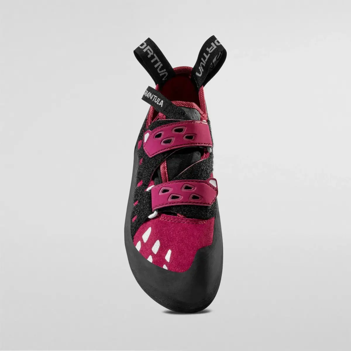 Tarantula Woman Tarantula Woman